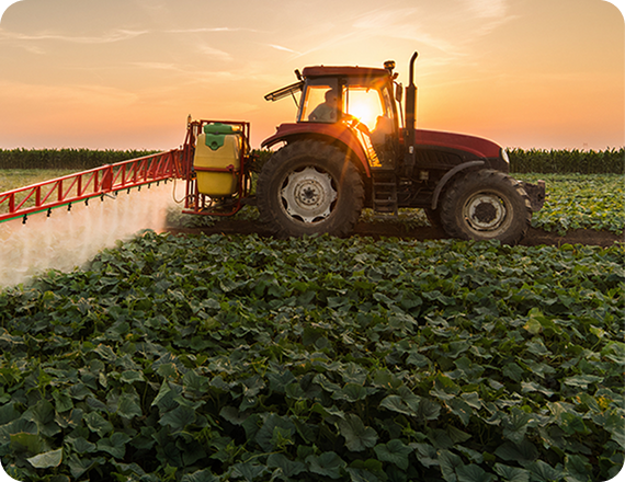 Harvex. Brand development for agriculture